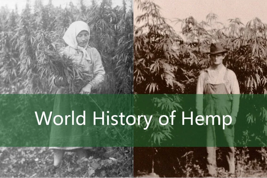 La storia dello sviluppo della canapa e dell'utilizzo del prodotto 3 World History of Hemp