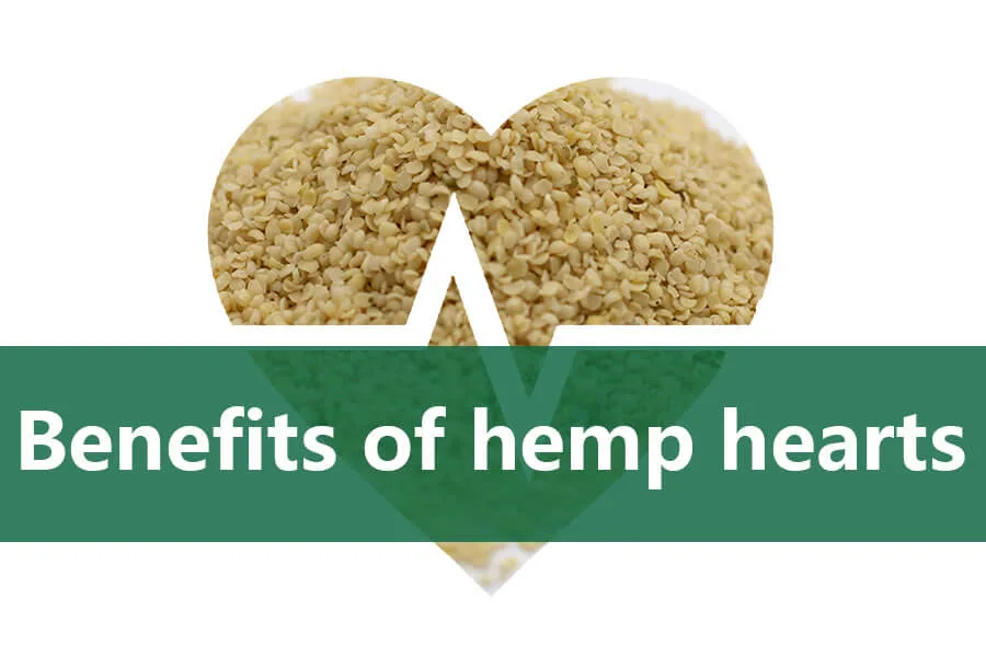 I 4 vantaggi più importanti dei cuori di canapa! 6 benefits of hemp hearts