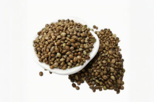 Semi di canapa biologici